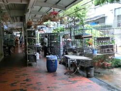 Serangoon North Avenue 1 (D19), Shop House #601940191